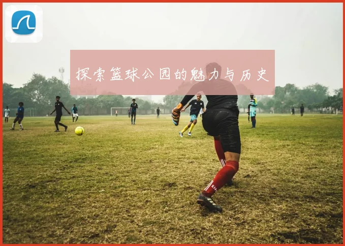 探索篮球公园的魅力与历史
