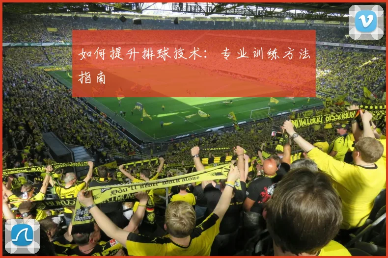 如何提升排球技术:专业训练方法指南